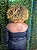Wig Afro Liz Fibra Orgânica - Imagem 5