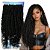 Cabelo Cacheado Zuri Crochet Braid 55cm Dread - Imagem 1