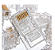 Plug RJ45 UTP 8P8C 8 VIAS CAT-5 GOLD - Imagem 2