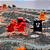 Root: Expansão Saqueadores - Imagem 4