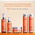 Cadiveu Bye Bye Frizz Kit Tratamento Antifrizz - 5 Produtos - Imagem 2