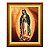 Nossa Senhora de Guadalupe - Imagem 6