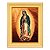 Nossa Senhora de Guadalupe - Imagem 5