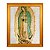 Nossa Senhora de Guadalupe - Imagem 2