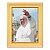 Papa Francisco - Imagem 4