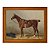 Cavalo de esporte selado - Imagem 3