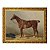 Cavalo de esporte selado - Imagem 2