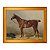 Cavalo de esporte selado - Imagem 1