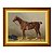 Cavalo de esporte selado - Imagem 6