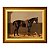 Um Cavalo Preto com um Cão - Imagem 6