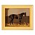 Um Cavalo Preto com um Cão - Imagem 5