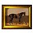 Um Cavalo Preto com um Cão - Imagem 7