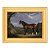 Um garanhão Clydesdale - Imagem 5