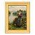 Notícias interessantes - Imagem 1