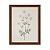 Flores - Imagem 2