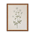 Flores - Imagem 5