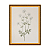 Flores - Imagem 6