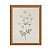 Flores - Imagem 7