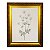 Flores - Imagem 7