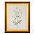 Flores - Imagem 6