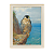 Peregrino em Auchencecairn (1923) - Imagem 5