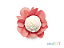Forminha para Doce Style Coral com 40 unidades - Ultrafest 4830 - Imagem 1