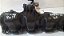 Coletor Admissao Volkswagem Amarok 2.0 4x4 Diesel 2010 2016 - Imagem 5