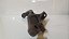 Suporte Cambio Toyota Hilux 3.0 2012 A 2015 - Imagem 6