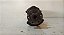 Virabrequim Fiat Palio 1.0 8V Std 2004 a 2012 46778915 (2) - Imagem 6