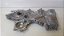 Tampa Protetora Frontal Motor Toyota Corolla 2.0 2010 A 2015 - Imagem 3