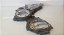Tampa Frontal Corrente Motor Nissan Frontier 2.5 2013/16 (1) - Imagem 6