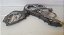 Tampa Frontal Corrente Motor Nissan Frontier 2.5 2013/16 (1) - Imagem 4