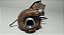 Turbina Chevrolet S10 2.8 2014 A 2017 (2) - Imagem 8