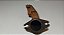 Flange Escape Da Turbina Peugeot Boxer 2.8 2005 A 2009 - Imagem 8