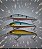 kit 3 Iscas Artificial importada 1/2 Água de 10.5CM e 9.5GR, iscas de pesca Tucunarés Traíras, Dourados - Imagem 1