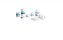 Micropore Branco em Rolo 50mm x 10m - Wiltex - Imagem 1