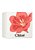 Kit Nomade Chloé Eau de Parfum Feminino Perfume 50ml + Body Lotion 100ml - Imagem 3