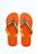 CHAMPION - CAIXA COM 50 UNID - Imagem 5