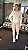 Jaqueta Feminina Corta Vento - OffWhite - Imagem 4