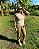 Combat Shirt Tan Feminina - Imagem 2
