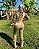Combat Shirt Tan Feminina - Imagem 6