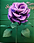 Rosa Sophie - Imagem 1