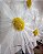 Margaridas em Organza - Imagem 2