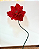 A Flor do Natal * Poinsétia - Imagem 4