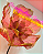 Flor em Organza - Exclusif *Edição Exclusiva de Natal - Imagem 1