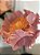 Trio de Flores em Crepom Italiano - Imagem 7