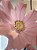 Flor Aurora em Crepom Italiano - Imagem 2
