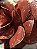 Manhattan Ruby: A Rosa Gigante em Red Gold - Imagem 4