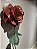 Manhattan Ruby: A Rosa Gigante em Red Gold - Imagem 6
