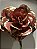 Manhattan Ruby: A Rosa Gigante em Red Gold - Imagem 5